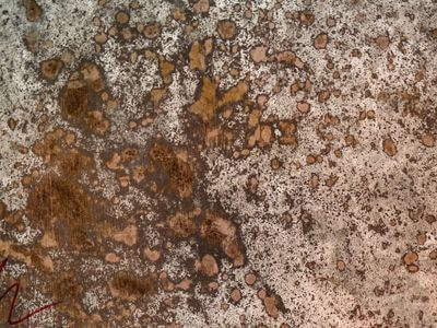 Professional water damage restoration services in El Cajon - ClarityX Solutions